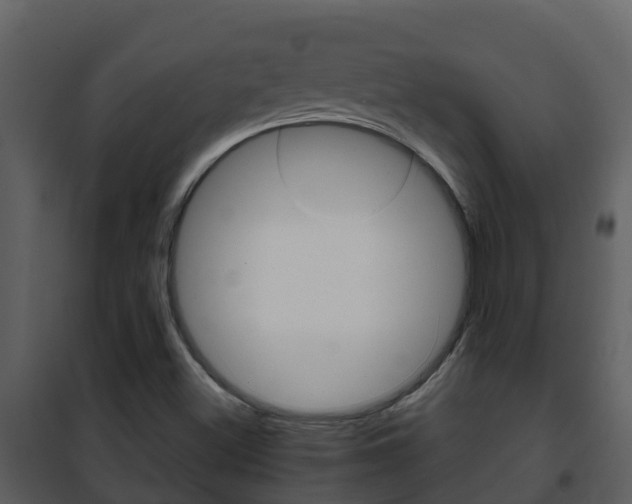 X0000101991500200807180812