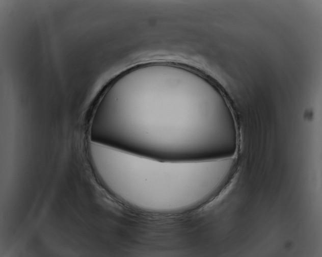 X0000101991501200807180812