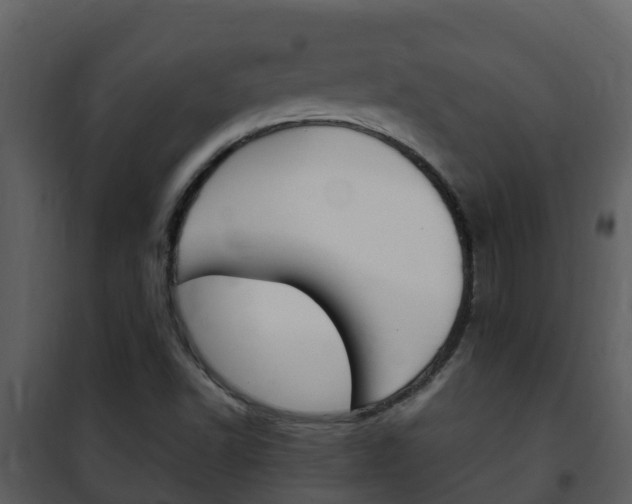 X0000101991502200807180812