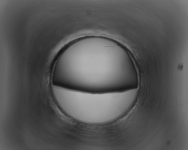 X0000101991503200807180812