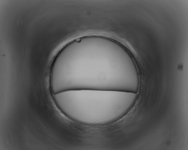 X0000101991504200807180812