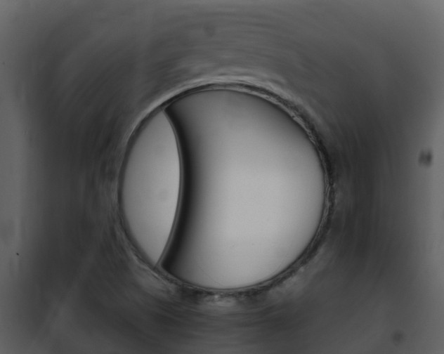 X0000101991505200807180812