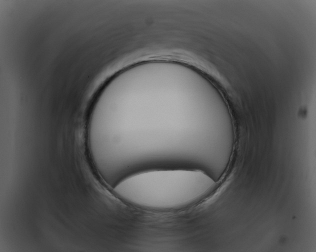 X0000101991506200807180812