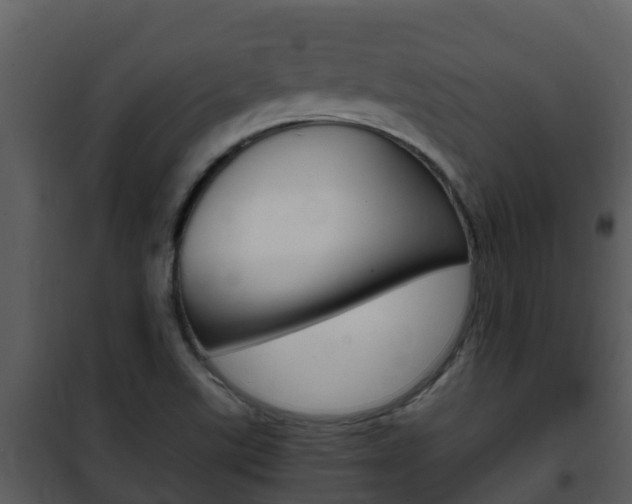 X0000101991507200807180812