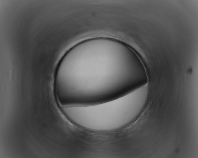 X0000101991508200807180812