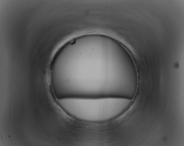 X0000101991510200807180812