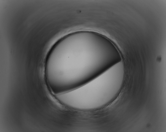 X0000101991511200807180812