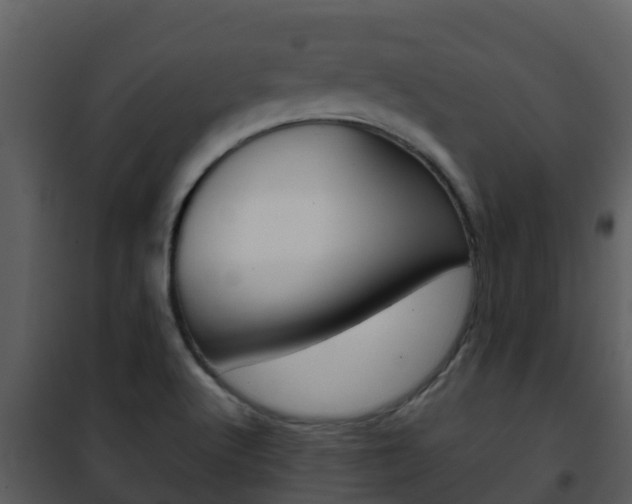 X0000101991512200807180812