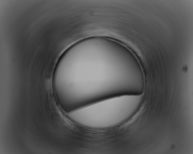 X0000101991513200807180812