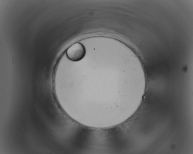 X0000101991514200807180812