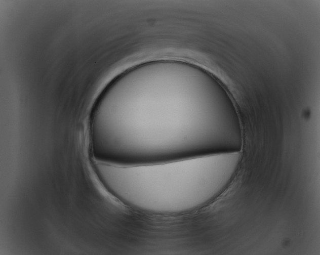 X0000101991515200807180812