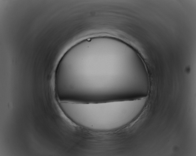 X0000101991516200807180812