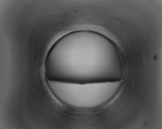 X0000101991517200807180812
