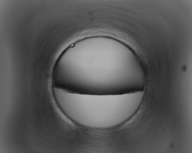 X0000101991518200807180812