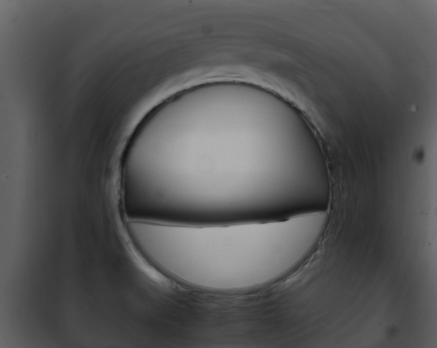 X0000101991519200807180812