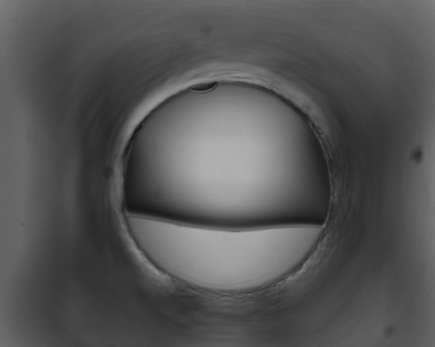 X0000101991520200807180812