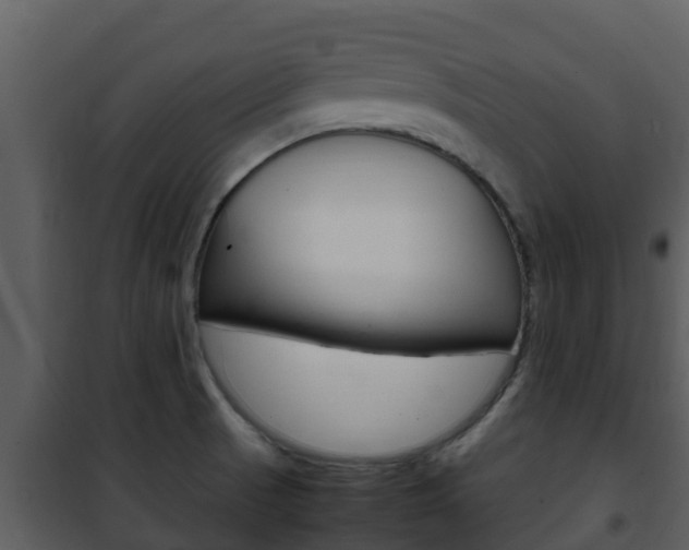 X0000101991521200807180812