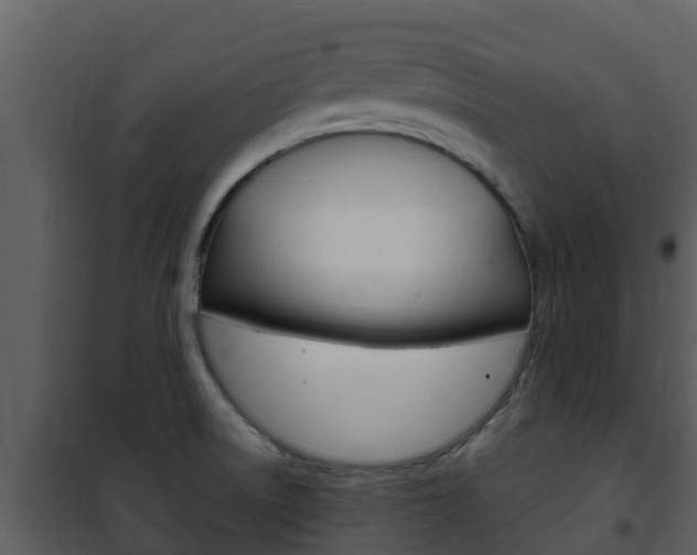 X0000101991522200807180812