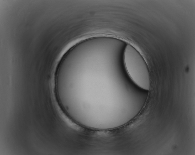 X0000101991523200807180812