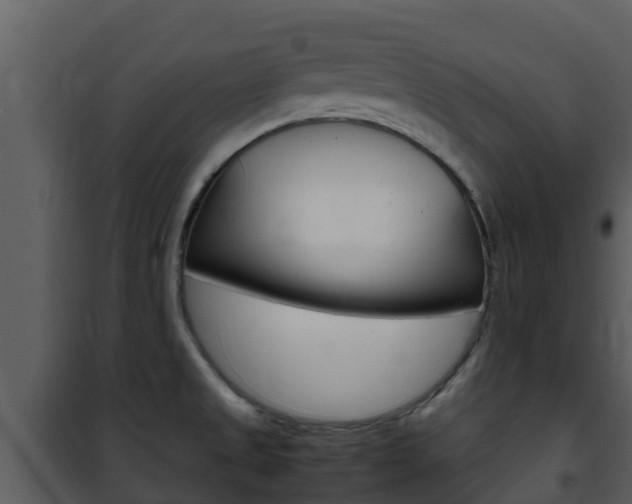 X0000101991525200807180812
