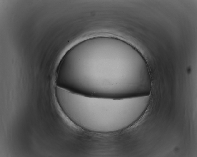 X0000101991526200807180812