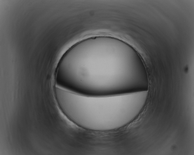 X0000101991527200807180812