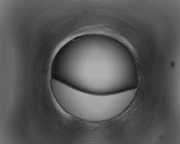 X0000101991528200807180812