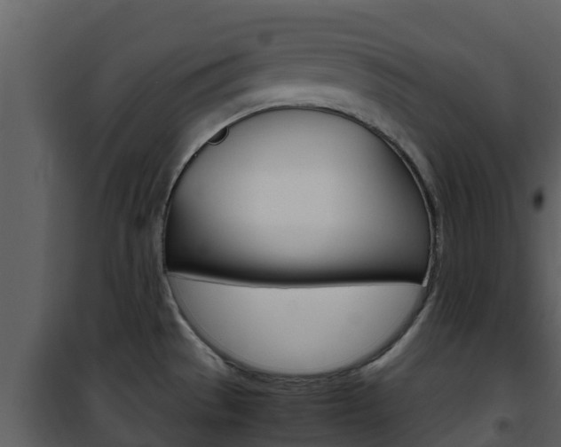X0000101991529200807180812