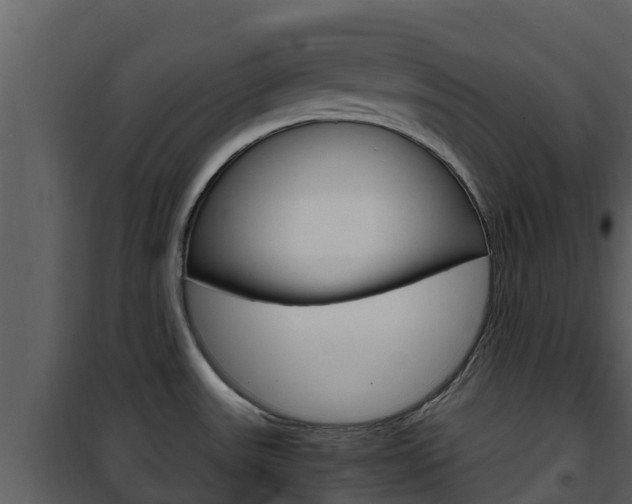 X0000101991531200807180812