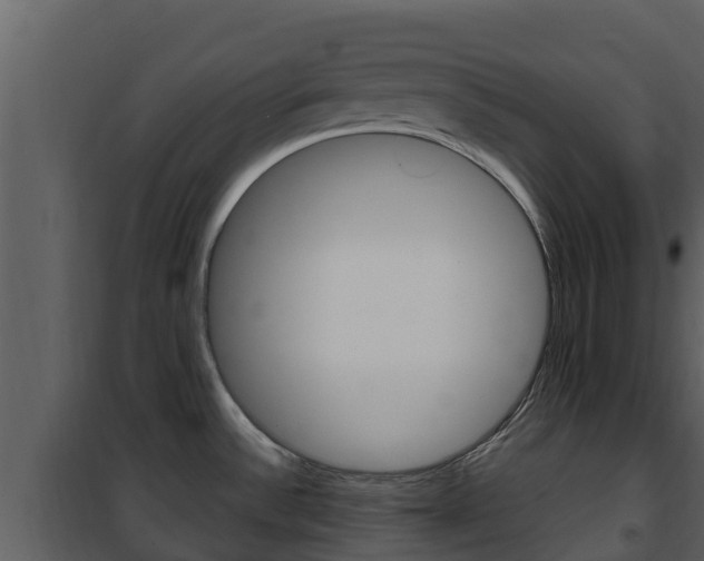 X0000101991532200807180812