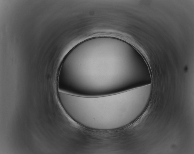 X0000101991533200807180812