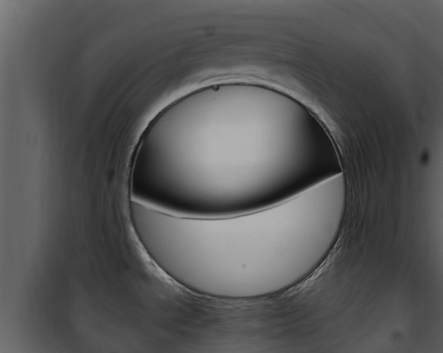 X0000101991534200807180812