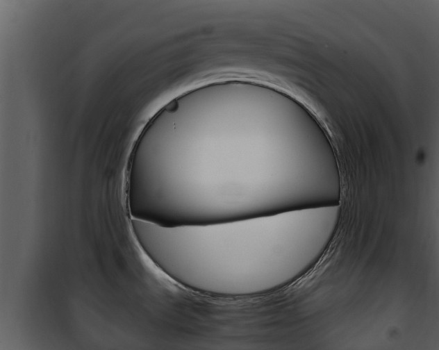 X0000101991535200807180812