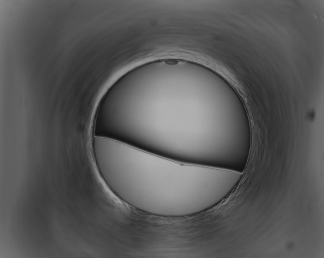 X0000101991536200807180812