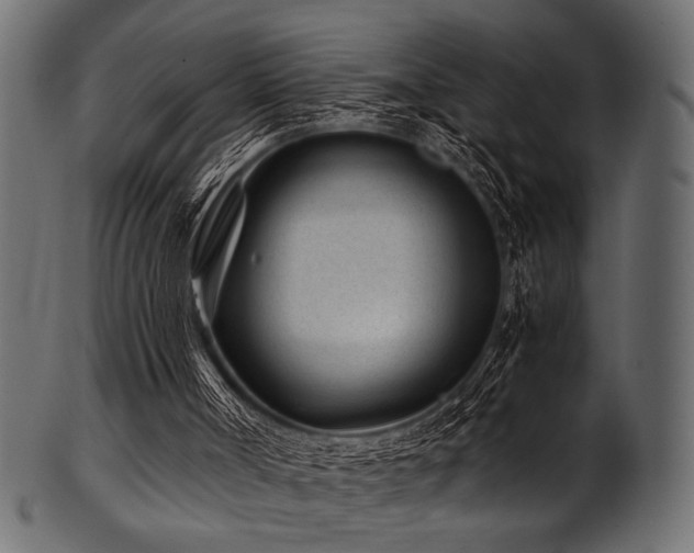 X0000101990002200807181158