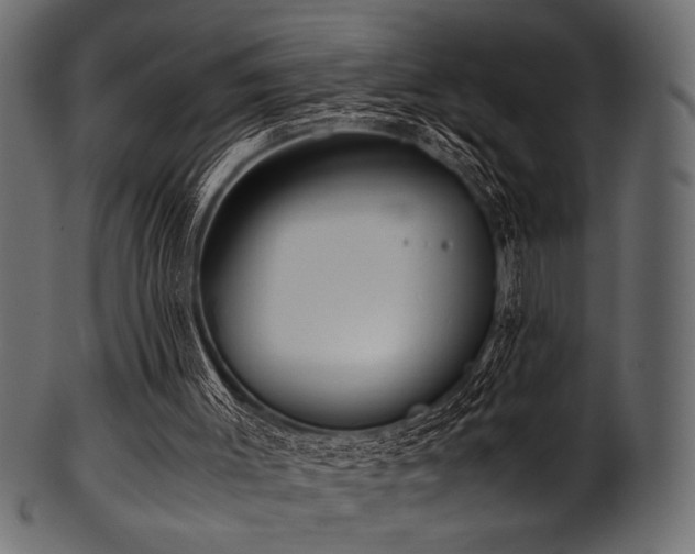 X0000101990003200807181158