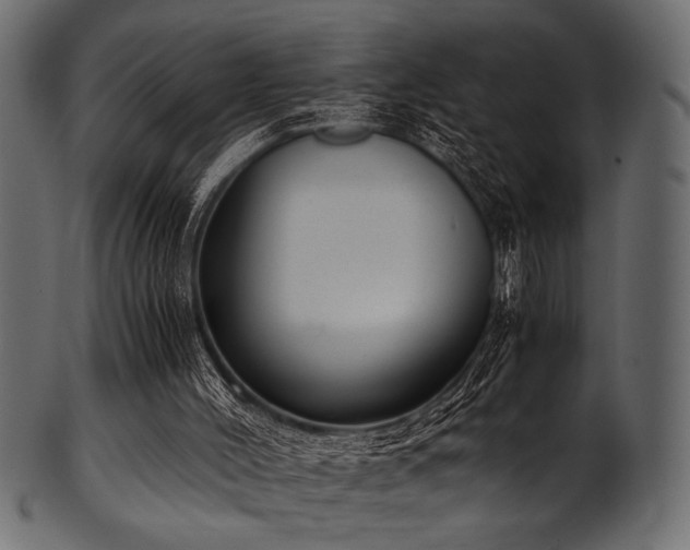X0000101990004200807181158