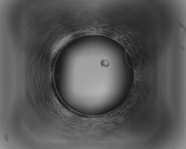 X0000101990005200807181158