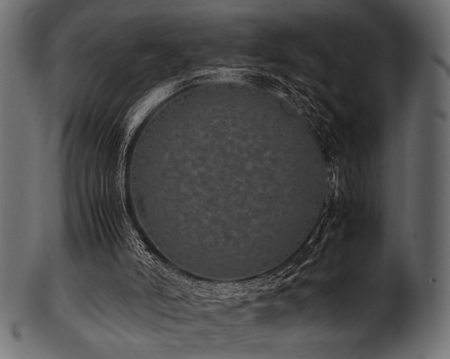 X0000101990006200807181158
