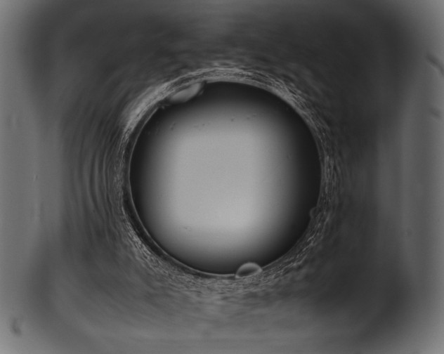 X0000101990007200807181158