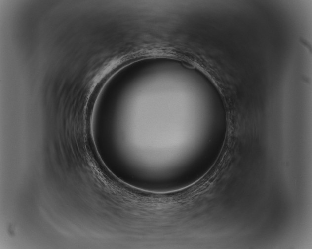 X0000101990008200807181158