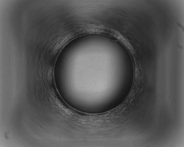X0000101990009200807181158