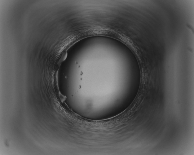 X0000101990010200807181158