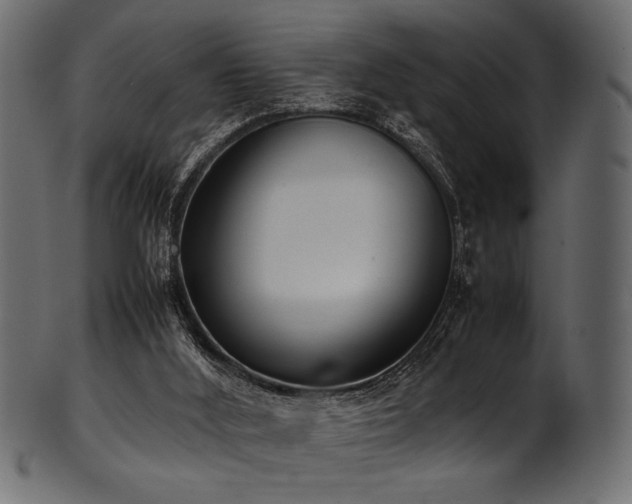 X0000101990012200807181158