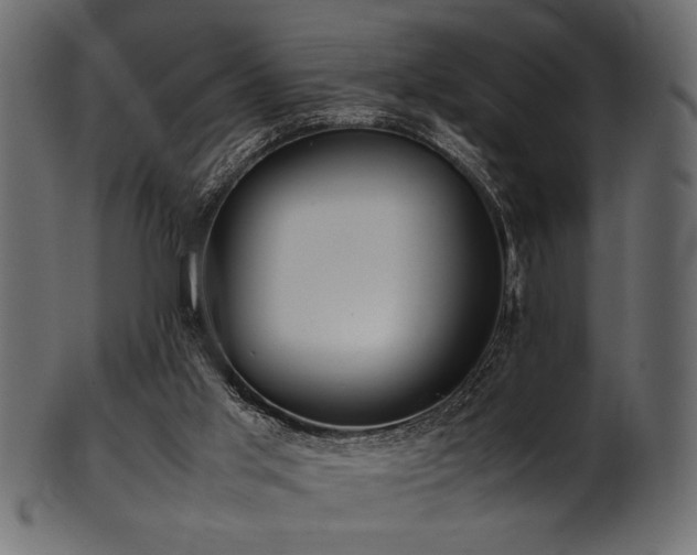 X0000101990013200807181158