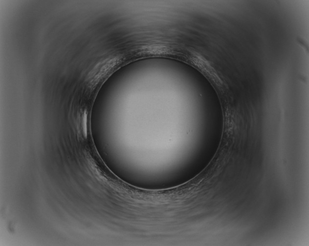 X0000101990014200807181158