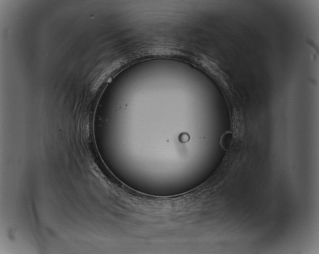 X0000101990015200807181158