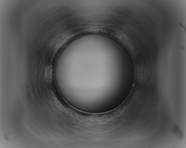 X0000101990016200807181158