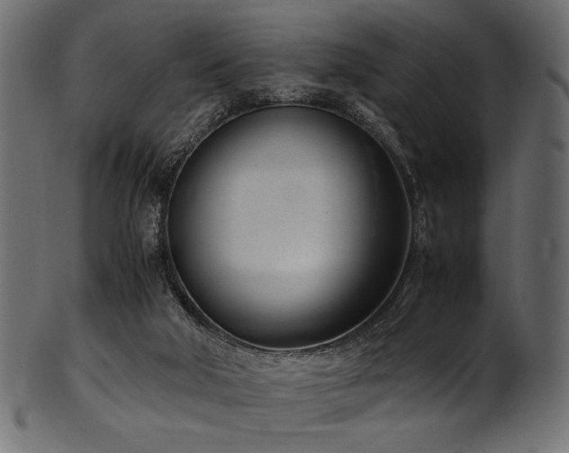X0000101990018200807181158