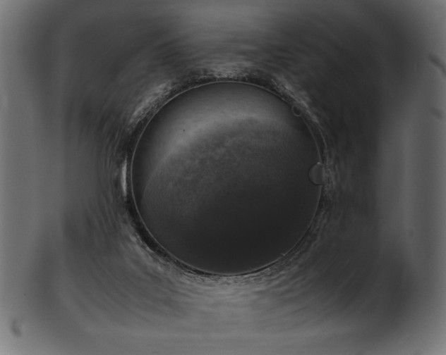 X0000101990019200807181158